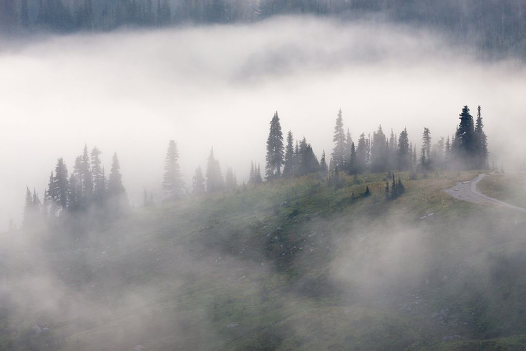 09-24 - 18.jpg - Mount Rainier National Park, WA